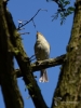 Filename=158_fotowilga~2.JPG
Filesize=226KB
Dimensions=525x700
Date added=Mar 08, 2019 158_fotowilga~2.JPG