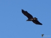 Filename=158_fotowilga~58.JPG
Filesize=183KB
Dimensions=700x525
Date added=Oct 14, 2019 158_fotowilga~58.JPG