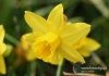 Filename=158_fotowilga~6.JPG
Filesize=92KB
Dimensions=720x508
Date added=May 19, 2014 158_fotowilga~6.JPG