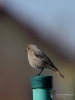 Filename=158_fotowilga~61.JPG
Filesize=200KB
Dimensions=525x700
Date added=Mar 05, 2020 158_fotowilga~61.JPG