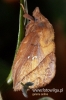 Filename=159_fotowilga~0.JPG
Filesize=97KB
Dimensions=360x540
Date added=Sep 09, 2012 159_fotowilga~0.JPG