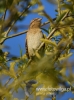 159_fotowilga~21.JPG