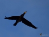 Filename=159_fotowilga~43.JPG
Filesize=166KB
Dimensions=700x525
Date added=Jan 22, 2018 159_fotowilga~43.JPG