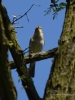 Filename=159_fotowilga~51.JPG
Filesize=230KB
Dimensions=525x700
Date added=Mar 10, 2019 159_fotowilga~51.JPG