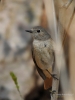 Filename=159_fotowilga~60.JPG
Filesize=247KB
Dimensions=525x700
Date added=Apr 28, 2020 159_fotowilga~60.JPG