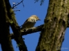 Filename=160_fotowilga~34.JPG
Filesize=220KB
Dimensions=700x525
Date added=Mar 10, 2019 160_fotowilga~34.JPG