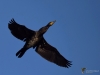 Filename=160_fotowilga~48.JPG
Filesize=176KB
Dimensions=700x525
Date added=Feb 08, 2018 160_fotowilga~48.JPG