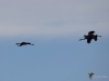 160_fotowilga~49.JPG