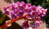 Filename=161_fotowilga~27.JPG
Filesize=101KB
Dimensions=640x384
Date added=Feb 19, 2017 161_fotowilga~27.JPG