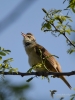 Filename=161_fotowilga~48.JPG
Filesize=233KB
Dimensions=525x700
Date added=May 18, 2018 161_fotowilga~48.JPG