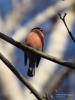 Filename=161_fotowilga~62.JPG
Filesize=222KB
Dimensions=525x700
Date added=Feb 06, 2020 161_fotowilga~62.JPG