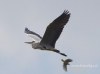 Filename=162_fotowilga~33.JPG
Filesize=40KB
Dimensions=640x475
Date added=Jul 29, 2016 162_fotowilga~33.JPG