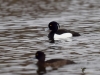 Filename=162_fotowilga~50.JPG
Filesize=259KB
Dimensions=700x525
Date added=May 26, 2019 162_fotowilga~50.JPG