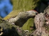 Filename=162_fotowilga~51.JPG
Filesize=308KB
Dimensions=700x525
Date added=Jul 06, 2019 162_fotowilga~51.JPG