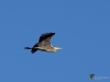 Filename=162_fotowilga~54.JPG
Filesize=182KB
Dimensions=700x525
Date added=Nov 19, 2019 162_fotowilga~54.JPG