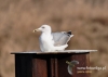 Filename=163_fotowilga~29.JPG
Filesize=78KB
Dimensions=640x457
Date added=May 16, 2016 163_fotowilga~29.JPG