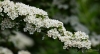 Filename=163_fotowilga~41.JPG
Filesize=209KB
Dimensions=700x384
Date added=Oct 08, 2017 163_fotowilga~41.JPG