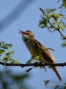 Filename=163_fotowilga~48.JPG
Filesize=243KB
Dimensions=525x700
Date added=May 20, 2018 163_fotowilga~48.JPG
