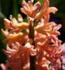 Filename=163_fotowilga~53.JPG
Filesize=299KB
Dimensions=655x700
Date added=Jul 10, 2019 163_fotowilga~53.JPG