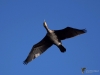 Filename=163_fotowilga~56.JPG
Filesize=208KB
Dimensions=700x525
Date added=Oct 14, 2019 163_fotowilga~56.JPG
