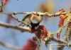 Filename=164_fotowilga~36.JPG
Filesize=99KB
Dimensions=640x457
Date added=Dec 12, 2017 164_fotowilga~36.JPG