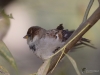 Filename=164_fotowilga~41.JPG
Filesize=219KB
Dimensions=700x525
Date added=Nov 02, 2018 164_fotowilga~41.JPG