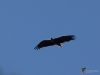 Filename=165_fotowilga~42.JPG
Filesize=181KB
Dimensions=700x525
Date added=Jun 11, 2018 165_fotowilga~42.JPG