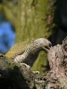 Filename=165_fotowilga~53.JPG
Filesize=303KB
Dimensions=525x700
Date added=Jul 04, 2019 165_fotowilga~53.JPG
