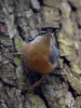 Filename=165_fotowilga~57.JPG
Filesize=292KB
Dimensions=525x700
Date added=Dec 15, 2019 165_fotowilga~57.JPG