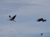 Filename=166_fotowilga~48.JPG
Filesize=163KB
Dimensions=700x525
Date added=Mar 21, 2018 166_fotowilga~48.JPG