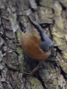 Filename=166_fotowilga~63.JPG
Filesize=303KB
Dimensions=525x700
Date added=Dec 15, 2019 166_fotowilga~63.JPG