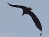 Filename=166_fotowilga~65.JPG
Filesize=174KB
Dimensions=700x525
Date added=Jun 21, 2020 166_fotowilga~65.JPG