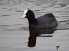Filename=168_fotowilga~59.JPG
Filesize=179KB
Dimensions=700x525
Date added=May 20, 2019 168_fotowilga~59.JPG