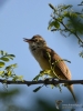 Filename=168_fotowilga~60.JPG
Filesize=236KB
Dimensions=525x700
Date added=Jun 12, 2019 168_fotowilga~60.JPG
