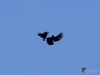 Filename=168_fotowilga~66.JPG
Filesize=166KB
Dimensions=700x525
Date added=May 11, 2020 168_fotowilga~66.JPG