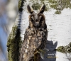 Filename=169_fotowilga~34.JPG
Filesize=119KB
Dimensions=554x480
Date added=Mar 27, 2017 169_fotowilga~34.JPG