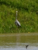 169_fotowilga~37.JPG