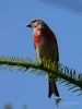 Filename=169_fotowilga~58.JPG
Filesize=220KB
Dimensions=525x700
Date added=Jul 08, 2019 169_fotowilga~58.JPG