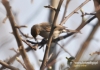 Filename=169_fotowilga~7.JPG
Filesize=94KB
Dimensions=720x508
Date added=Mar 22, 2014 169_fotowilga~7.JPG