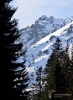 Filename=171_fotowilga~56.JPG
Filesize=335KB
Dimensions=513x700
Date added=Mar 09, 2020 171_fotowilga~56.JPG