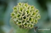 Filename=172_fotowilga~0.JPG
Filesize=106KB
Dimensions=720x480
Date added=Oct 23, 2012 172_fotowilga~0.JPG