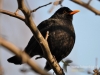 Filename=172_fotowilga~20.JPG
Filesize=90KB
Dimensions=640x480
Date added=Jan 23, 2016 172_fotowilga~20.JPG