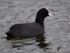 Filename=172_fotowilga~45.JPG
Filesize=208KB
Dimensions=700x525
Date added=May 16, 2019 172_fotowilga~45.JPG