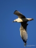 Filename=172_fotowilga~48.JPG
Filesize=180KB
Dimensions=525x700
Date added=Aug 07, 2019 172_fotowilga~48.JPG