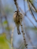 Filename=173_fotowilga~31.JPG
Filesize=212KB
Dimensions=525x700
Date added=Apr 25, 2017 173_fotowilga~31.JPG