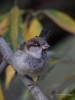 Filename=173_fotowilga~45.JPG
Filesize=238KB
Dimensions=525x700
Date added=Feb 20, 2019 173_fotowilga~45.JPG