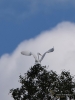 Filename=173_fotowilga~49.JPG
Filesize=258KB
Dimensions=525x700
Date added=Sep 18, 2019 173_fotowilga~49.JPG