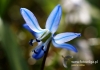 Filename=174_fotowilga~29.JPG
Filesize=80KB
Dimensions=640x453
Date added=Mar 20, 2017 174_fotowilga~29.JPG