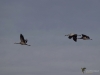 174_fotowilga~42.JPG