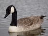 Filename=174_fotowilga~49.JPG
Filesize=226KB
Dimensions=700x525
Date added=May 10, 2019 174_fotowilga~49.JPG
